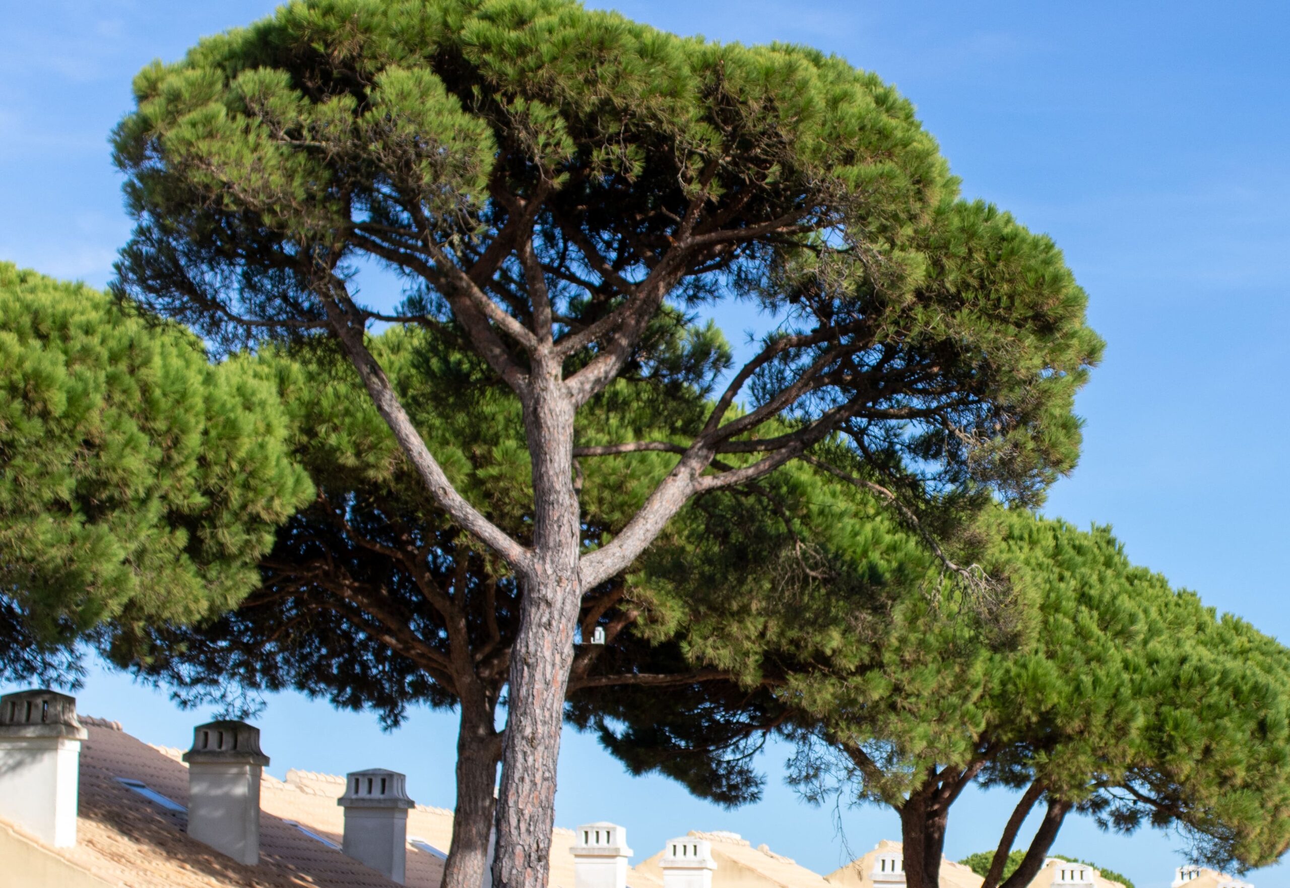 Quinta da Bicuda, Cascais, Portugal